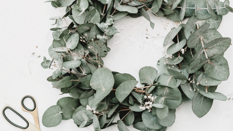 georgia-de-lotz-rTFwYeWGU-8-unsplash